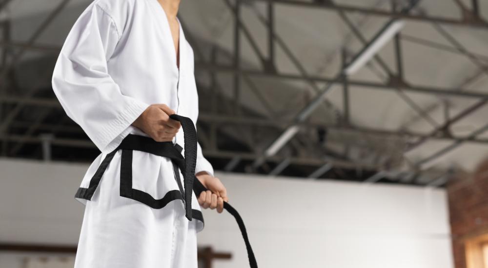 Bassanonet.it Karate, Bassano capitale per un giorno