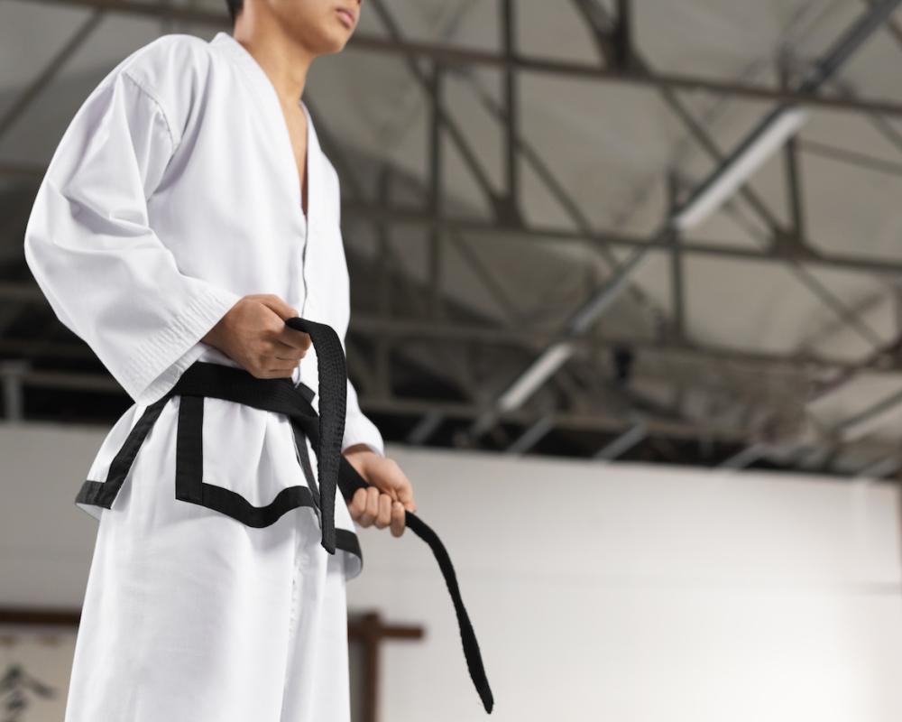 Bassanonet.it Karate, Bassano capitale per un giorno