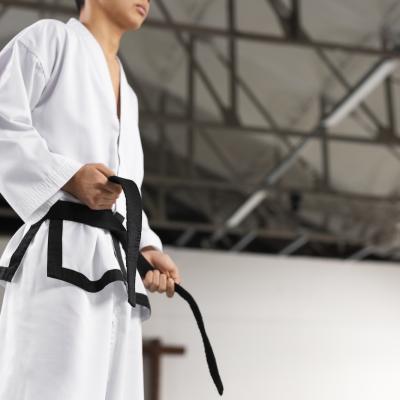 Bassanonet.it Karate, Bassano capitale per un giorno