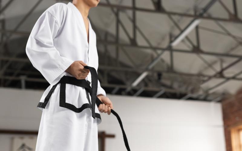 Bassanonet.it Karate, Bassano capitale per un giorno