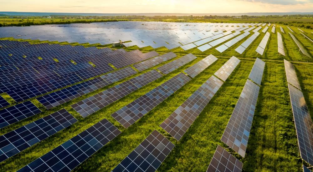 Bassanonet.it Rosà, il maxi-agrivoltaico approda in Regione