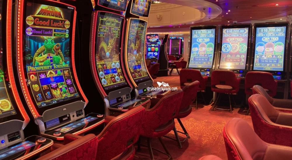 Bassanonet.it L’azzardo che