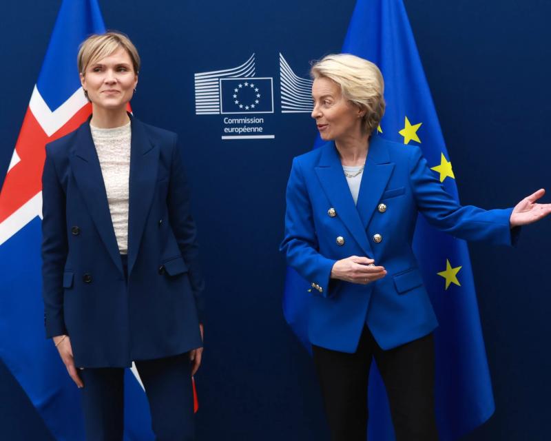 Bassanonet.it Islanda, possibile referendum per l’adesione all’UE