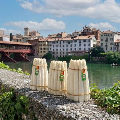 Bassanonet.it “Salvate il soldato Asparago”