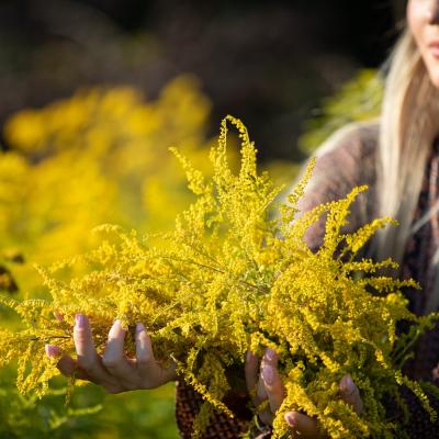 Bassanonet.it Oltre la Mimosa: Manifesto per la Libertà delle Figlie