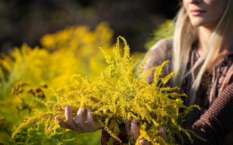 Bassanonet.it Oltre la Mimosa: Manifesto per la Libertà delle Figlie