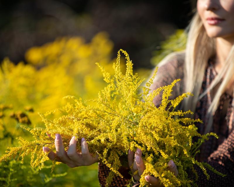 Bassanonet.it Oltre la Mimosa: Manifesto per la Libertà delle Figlie