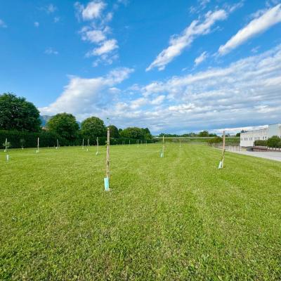 Bassanonet.it F.lli Campagnolo realizza il suo Parco per le Api