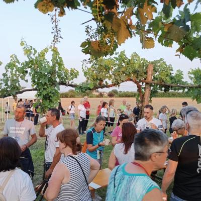 Bassanonet.it Solidarietà e territorio: sabato torna la Camminata dei Sapori