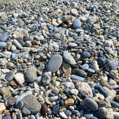 Bassanonet.it Crisi idrica, il Brenta a secco e il Comune tace