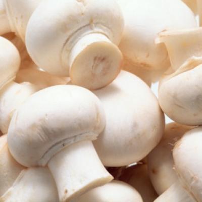 Bassanonet.it Andar per funghi in città e dintorni