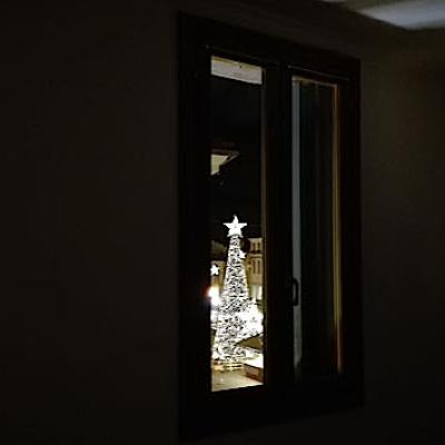 Bassanonet.it La finestra sull'albero