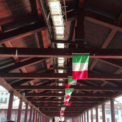 Bassanonet.it Uccellacci e Uccellini