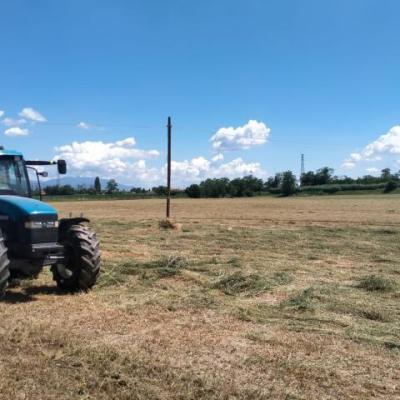 Bassanonet.it L’industriale e il contadino