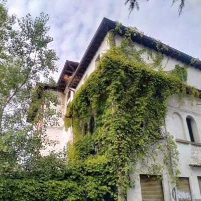 Bassanonet.it Continental House