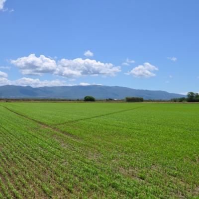 Bassanonet.it La terra contesa di San Lazzaro: così la logistica riaccende la guerra del cemento