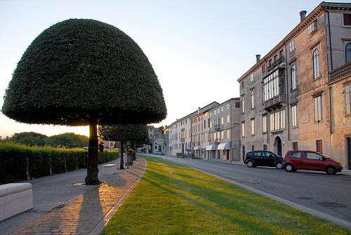 Viale dei Martiri