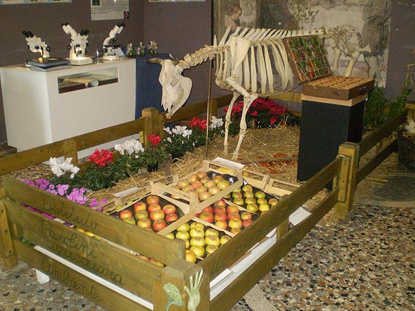 Lo stand dell'Istituto "Parolini" a Palazzo Bonaguro 