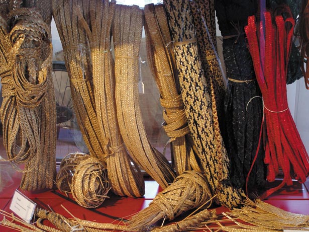 Il Museo Palazzon