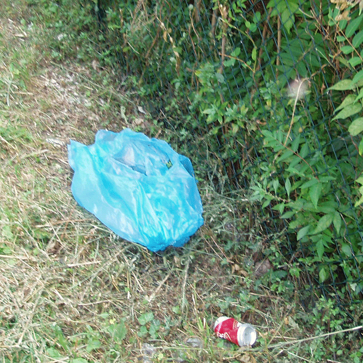Passeggiata tra i rifiuti
