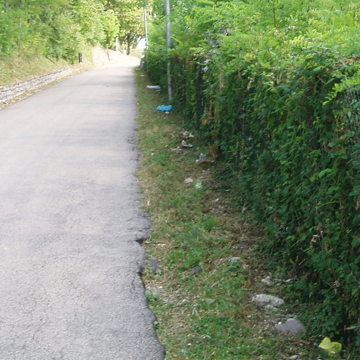 Bassanonet.it - Rifiuti in via A. Volta