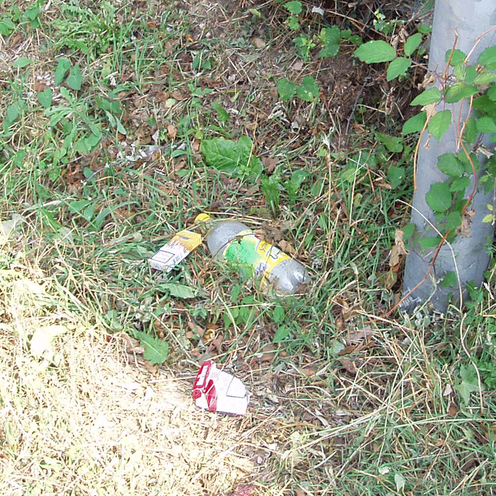 Bassanonet.it - Rifiuti in via A. Volta