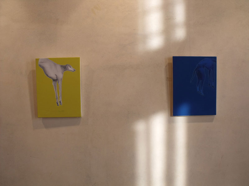 Strazi ed Ascensioni