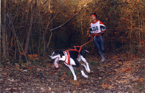 Correndo con il cane