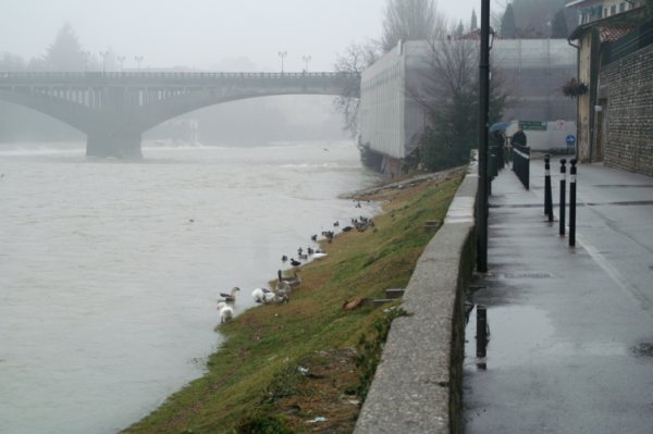 Il fiume Brenta in piena