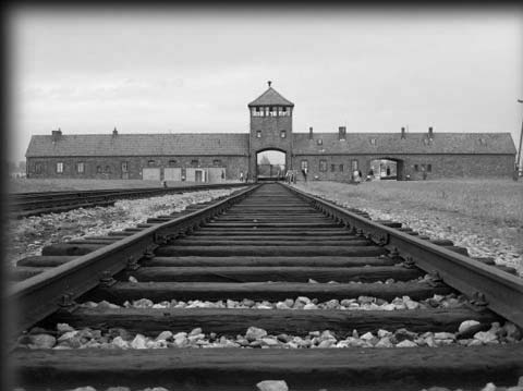 I cuori pensanti della Shoah