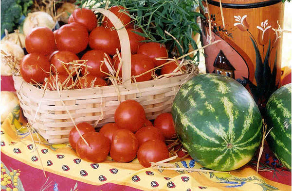 Bassano, arriva il “Farmer's Market”