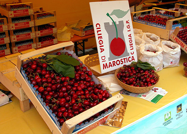 Sua eccellenza, la ciliegia di Marostica
