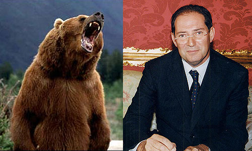 Sull'orso Dino lo scudo di Galan