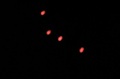 “Ufo” su Bassano