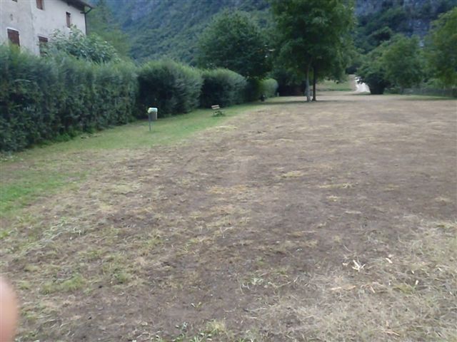 Come e' adesso il parco