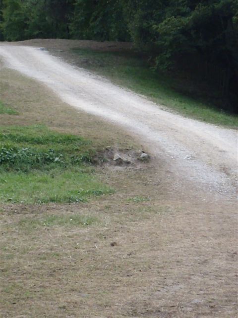 Come e' adesso il parco