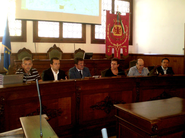 Raduno degli Alpini, istruzioni per l'uso