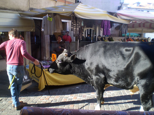 Plaza de Toros