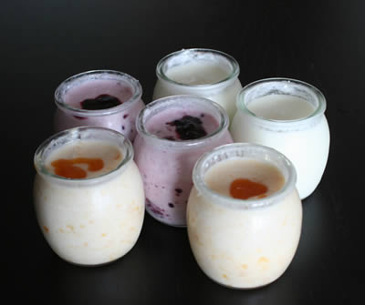 Fermenti lattici vivi