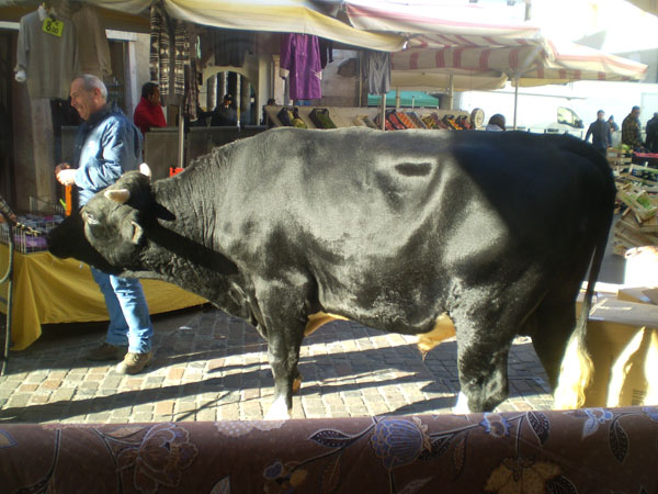 Plaza de Toros