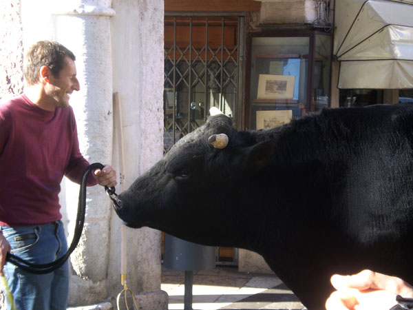 Plaza de Toros