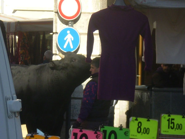 Plaza de Toros