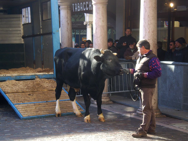 Plaza de Toros
