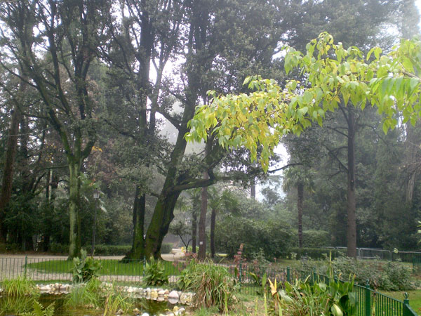 Uno  scorcio del Giardino Parolini 