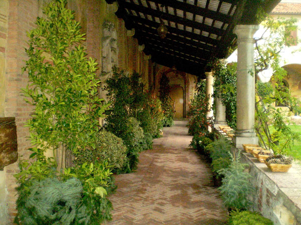 Le piante del Natale in Museo