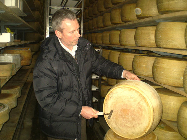 Il mastro casaro in azione