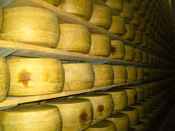 Grana Padano in stagionatura
