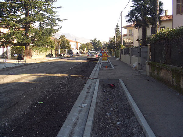 “Dove li mettono gli alberi per viale Montegrappa?”