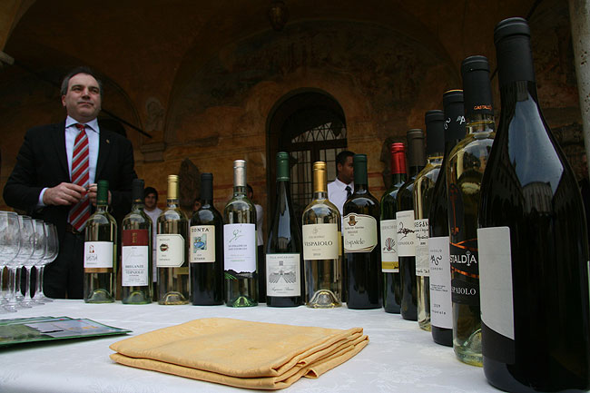 Bassanonet.it - Vespaiolo