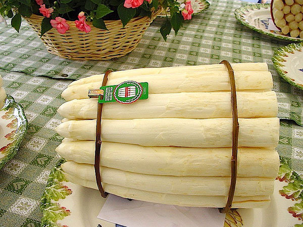 “Asparagi & Vespaiolo”: si alza il sipario
